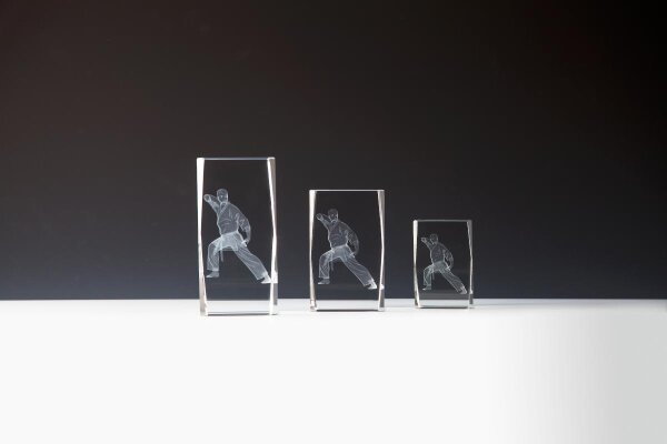 Kristallglas 3D Karate, mit Sockel 11 cm