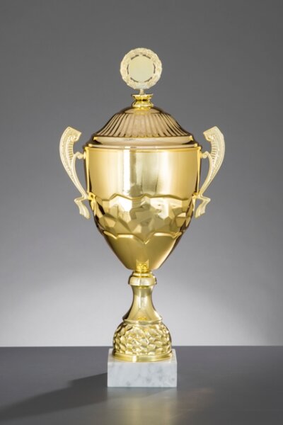 Henkel - Pokal goldfarbig, 41,3 bis 68 cm, oder 8er Serie