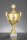 Henkel - Pokal goldfarbig, 41,3 bis 68 cm, oder 8er Serie
