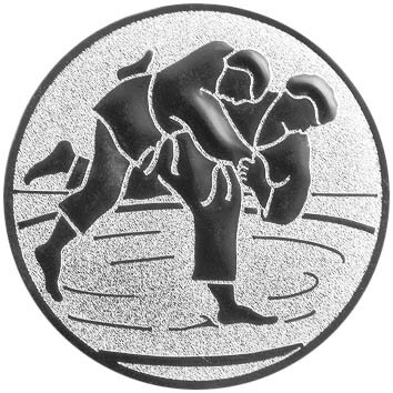 Kampfsport Judo Emblem 50mm bronze