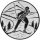 Langlaufen Emblem, Anstieg 50mm bronze