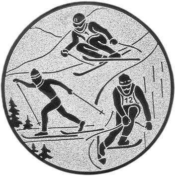 Ski Kombination Emblem