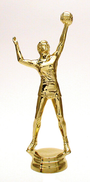 Sportfigur "Volleyball- Herren", 17,6 cm hoch, mit Sockel goldfarbig