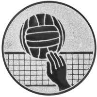 Volleyball Emblem,