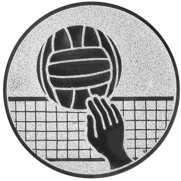 Volleyball Emblem, 50 mm bronze