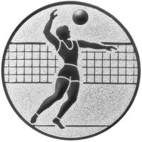 Volleyball Herren Emblem,