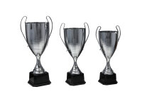 Henkel - Pokal "Vinya" silberfarbig, Höhe...
