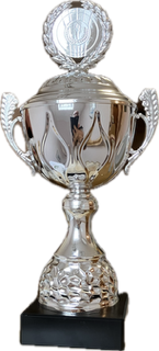 Henkelpokal silberfarbig, 35 cm