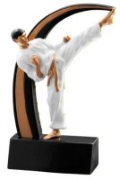Sportständer "Karate", Resin, 12 cm hoch